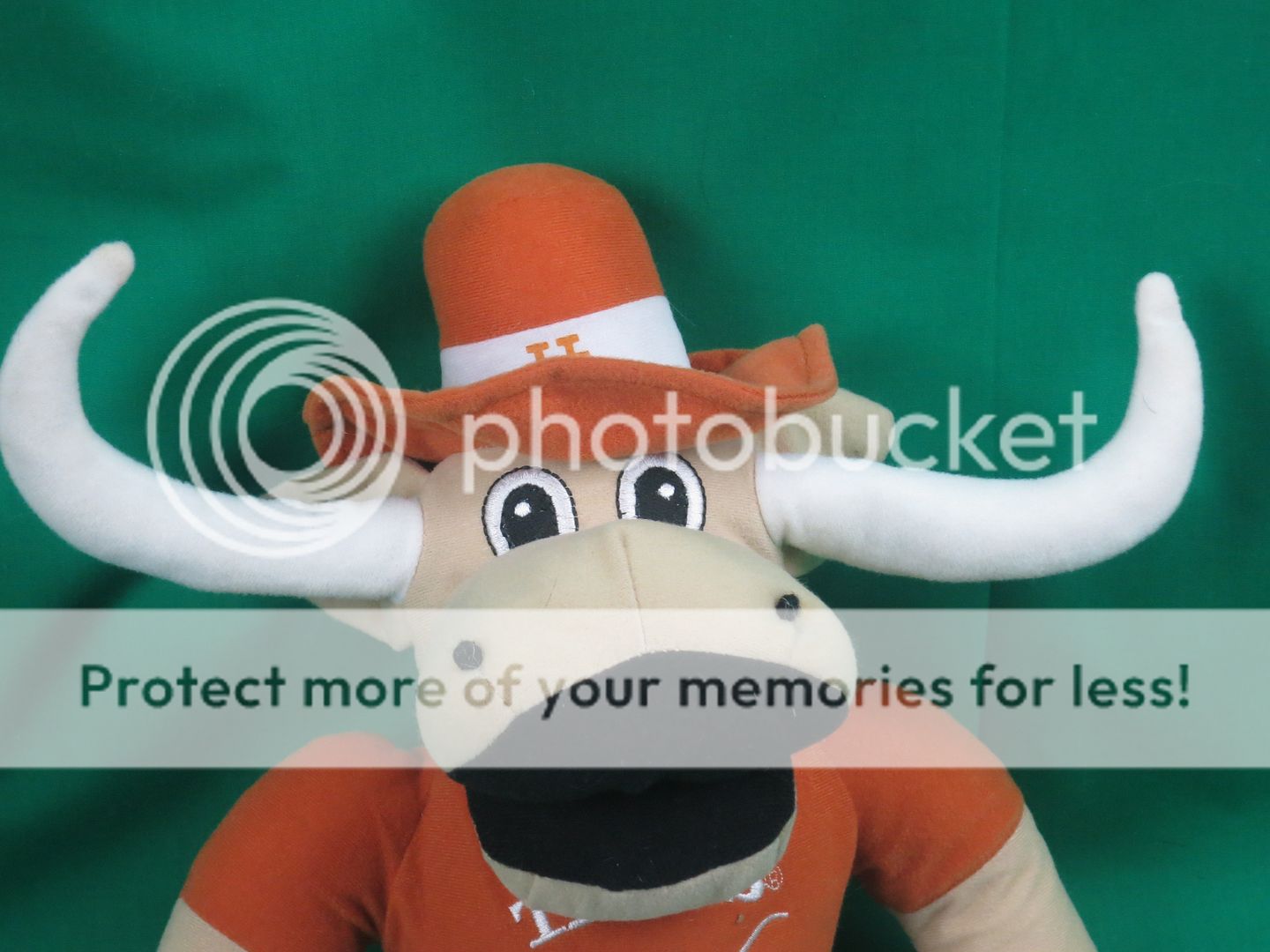 bevo plush